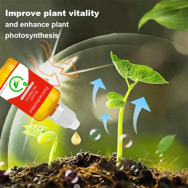 2+1 GRATIS | RootRise™ | Schnellere Pflanzenregeneration