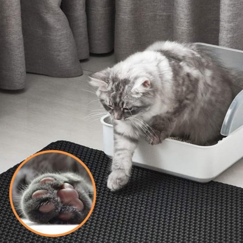 PawGuard™ | Zwei-lagige Katzenstreumatte für saubere und hygienische Böden [Letzter Tag Rabatt]