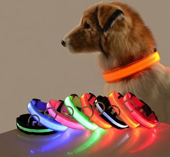 LED-Hundehalsband – Leuchtend, Wiederaufladbar & Sicher für Nachtspaziergänge