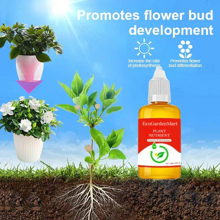 2+1 GRATIS | RootRise™ | Schnellere Pflanzenregeneration