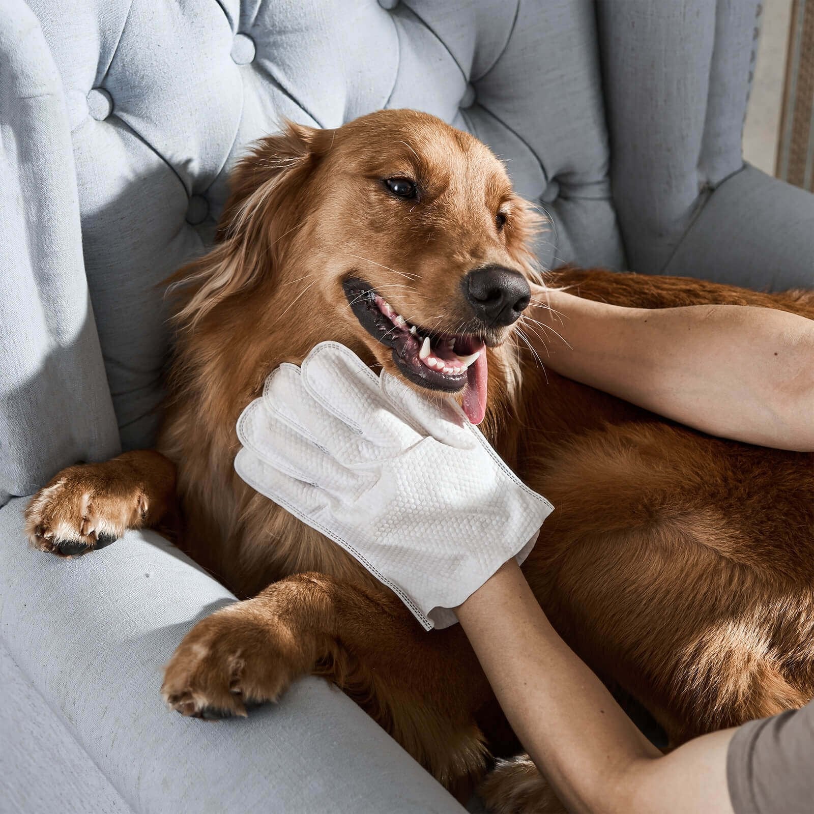 1+1 GRATIS | PawsFresh™ | Desodorierende Handtücher für Hunde | 6er-Pack