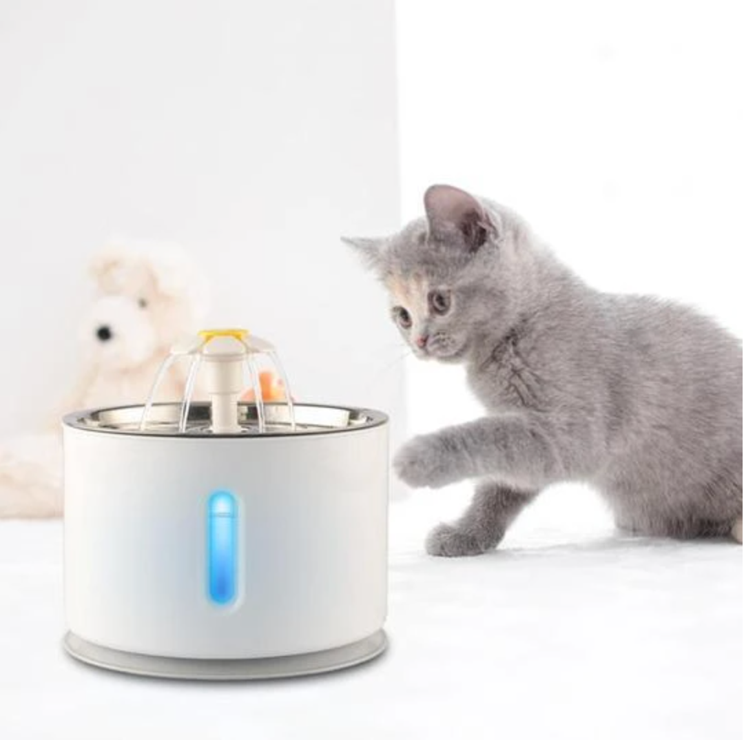2,4L Automatische Haustier Trinkbrunnen mit LED | USB Wasserbrunnen für Katzen und Hunde
