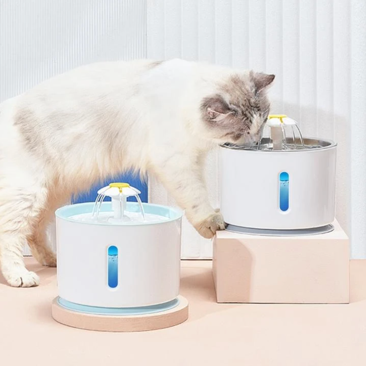 2,4L Automatische Haustier Trinkbrunnen mit LED | USB Wasserbrunnen für Katzen und Hunde