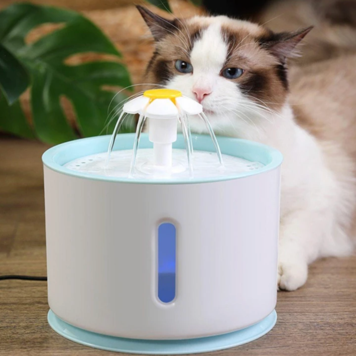 2,4L Automatische Haustier Trinkbrunnen mit LED | USB Wasserbrunnen für Katzen und Hunde