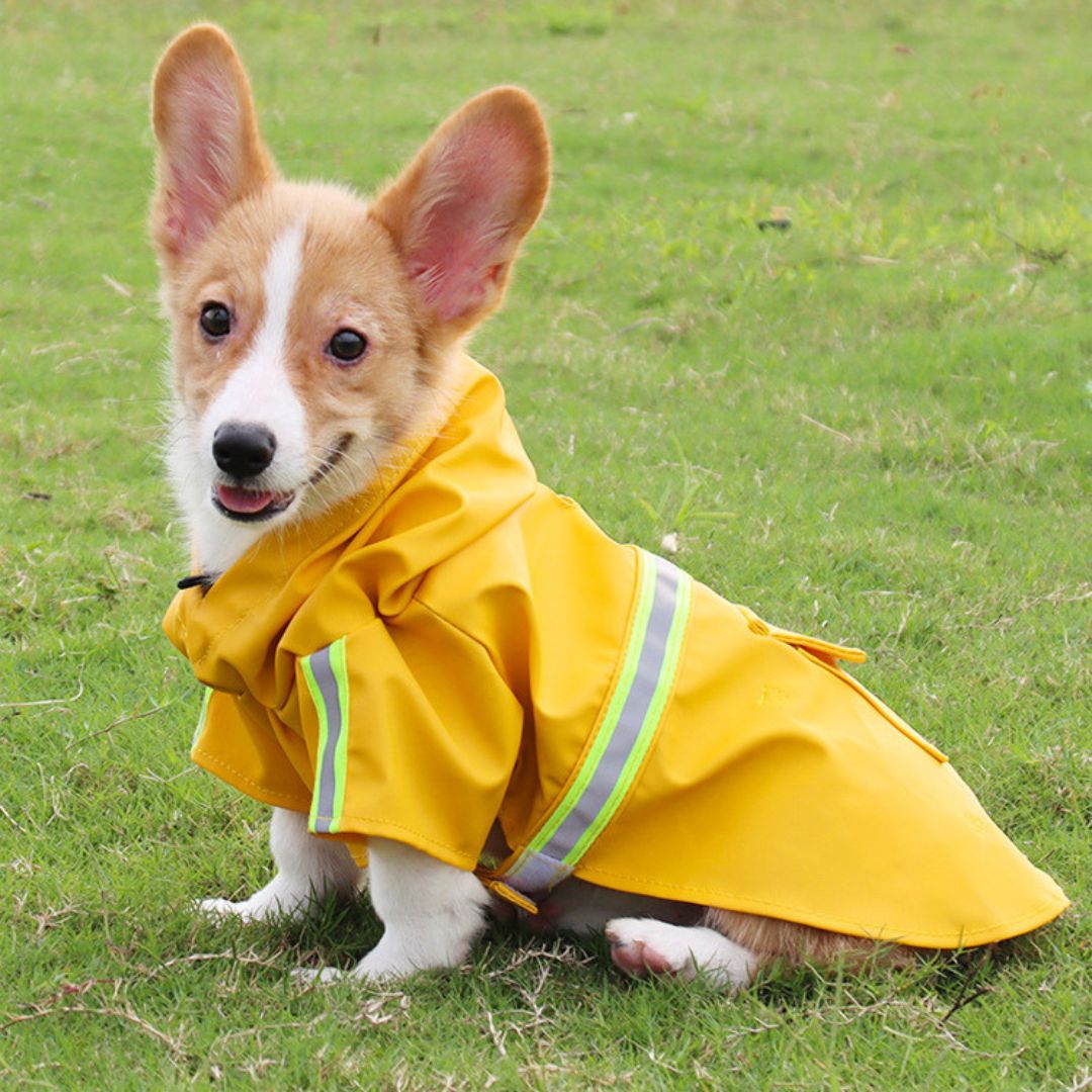 Hundebademantel gegen Wind, Regen und Kälte | Wasserdichter Regenmantel für Hunde – Schützt vor schlechtem Wetter