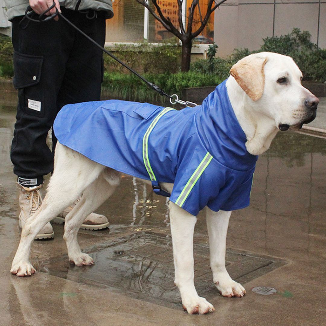 Hundebademantel gegen Wind, Regen und Kälte | Wasserdichter Regenmantel für Hunde – Schützt vor schlechtem Wetter