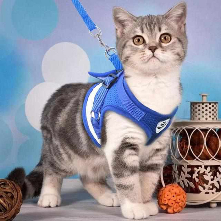 Hunde Katzen Geschirr & Leine Set | Reflektierendes Mesh Sicherheitsgeschirr für Hunde & Katzen | Atmungsaktive und Bequeme Hundegeschirre mit Verstellbarem Gurt
