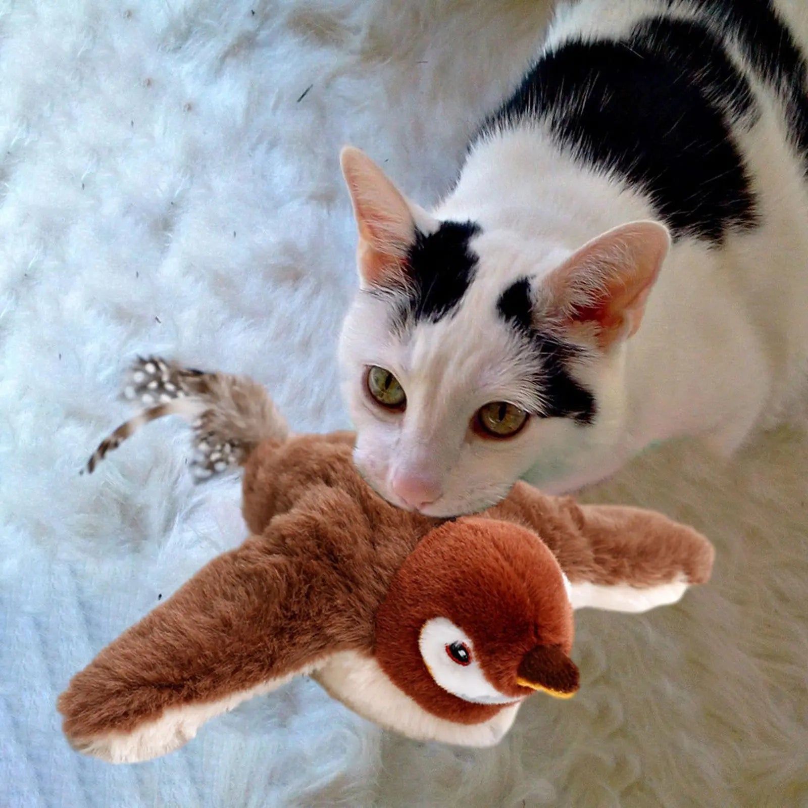 PurrFlight™ | Katzenspielzeug Vogel — Animiert auch dicke & faule Katzen zur Bewegung