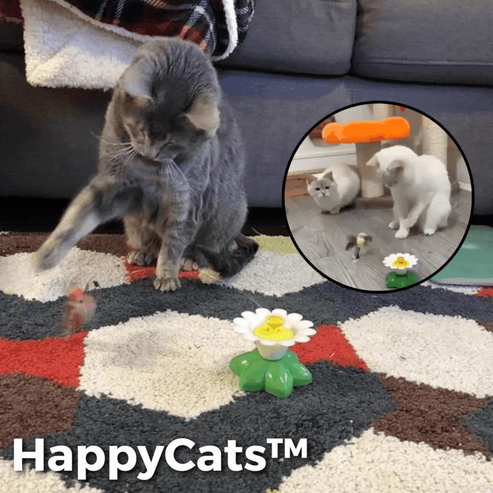 50% RABATT | HappyCats™ | Interaktives Vogelspielzeug für Katzen [Letzter Tag Rabatt]