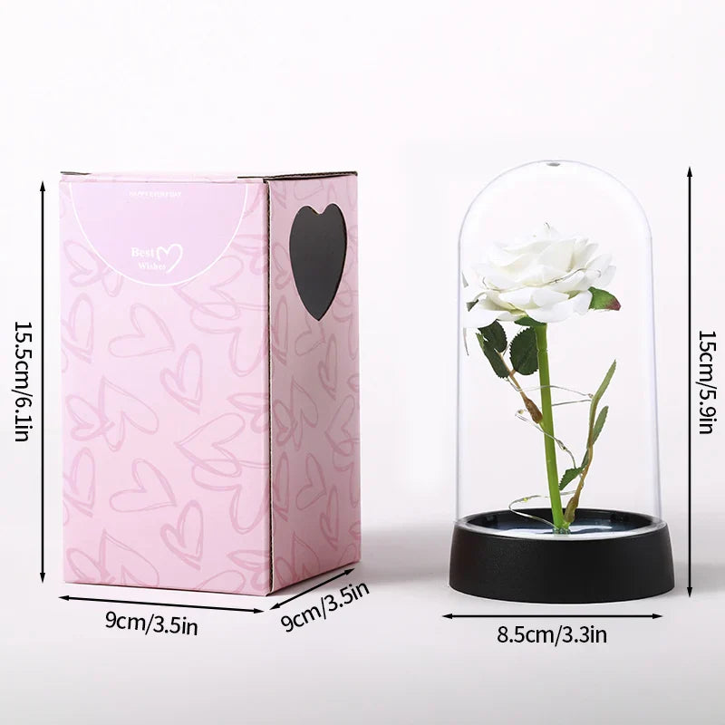 EternalGlow Rose™ | Ewige Liebe unter Glas