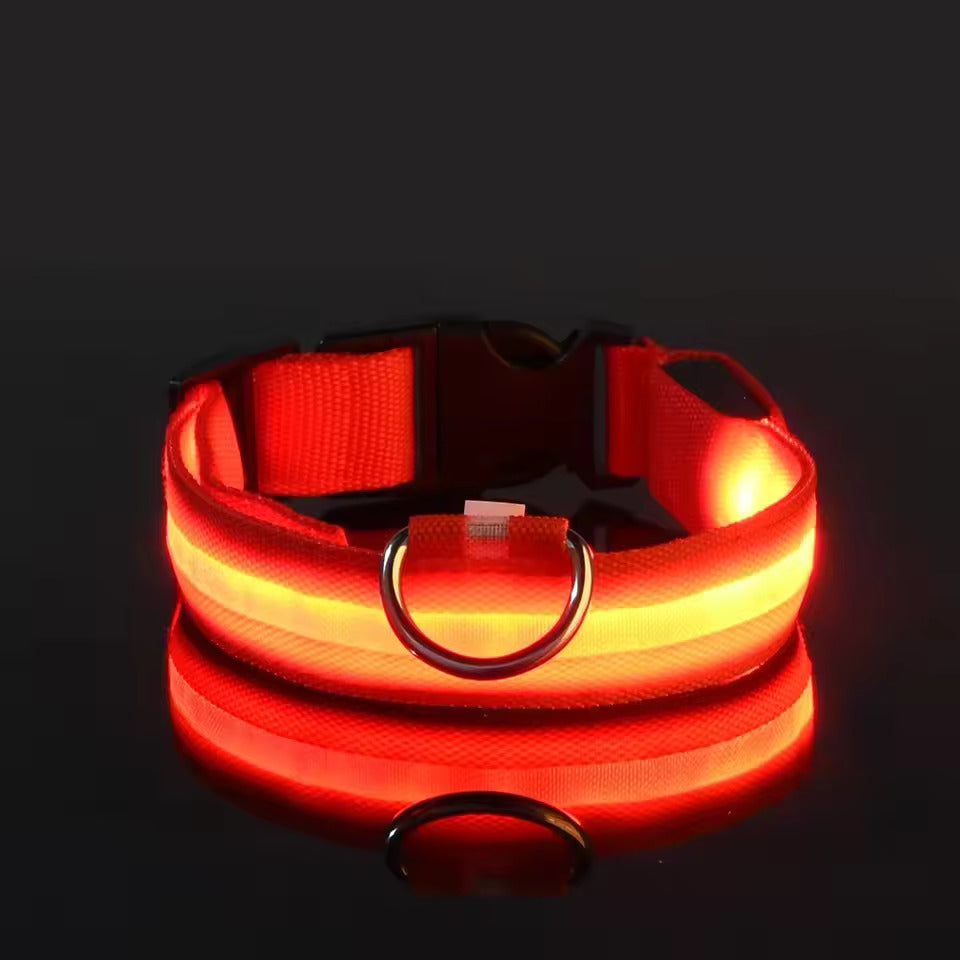 LED-Hundehalsband – Leuchtend, Wiederaufladbar & Sicher für Nachtspaziergänge