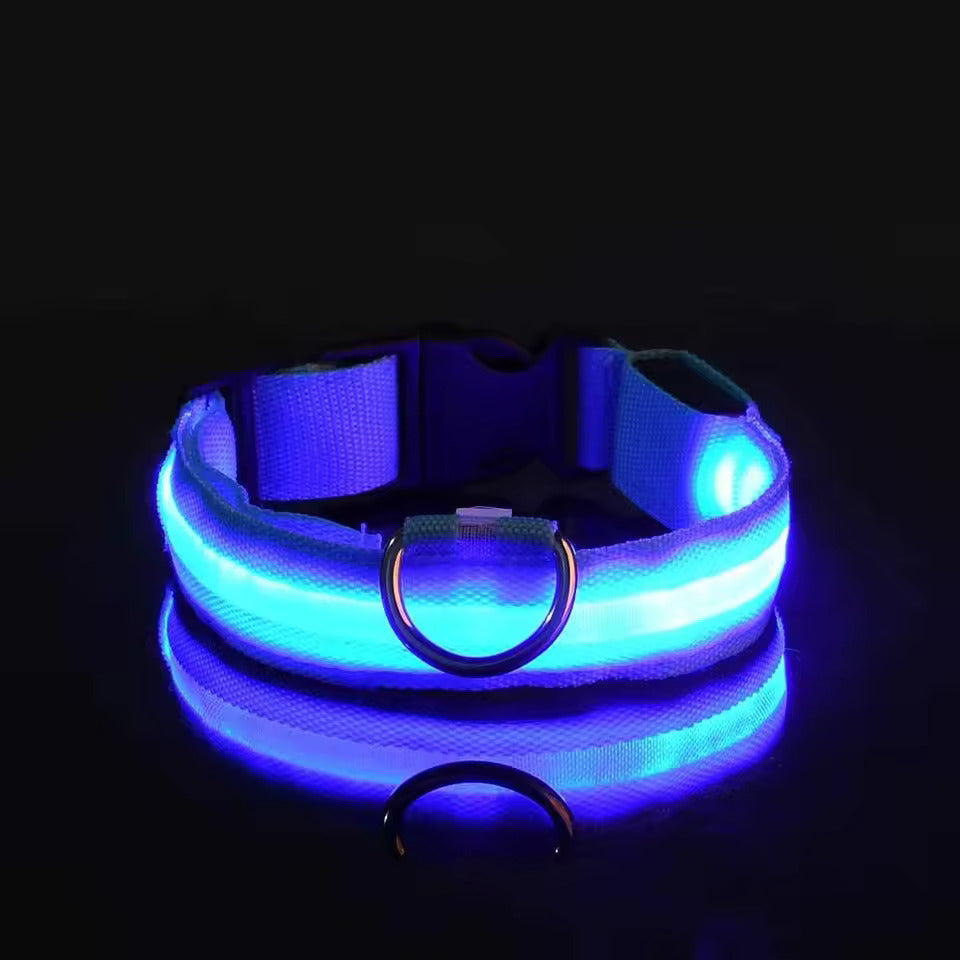LED-Hundehalsband – Leuchtend, Wiederaufladbar & Sicher für Nachtspaziergänge