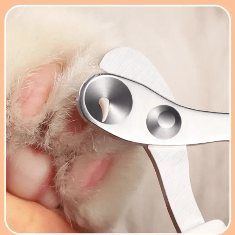 Professionelle Krallenschneider für Katzen und Hunde | Edelstahl-Nageltrimmer für Haustiere – Präzise Krallenpflege für kleine Tiere