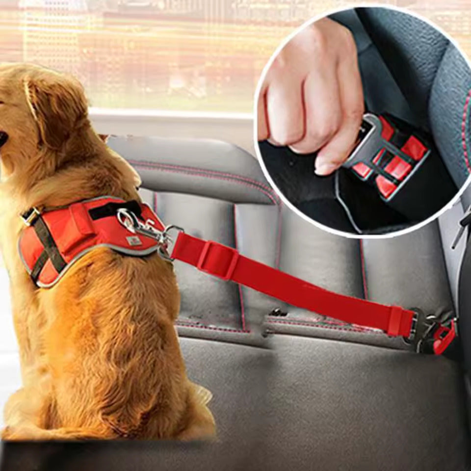 Sicherheitsgurt für Hunde – Verstellbare Autogurt-Halterung für Sicheres Reisen