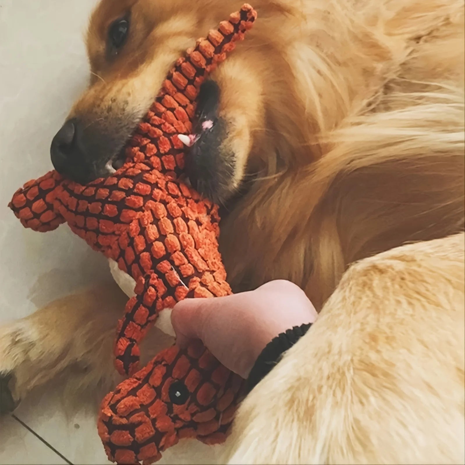 Plüsch Dinosaurier Hundespielzeug – Interaktives Kauspielzeug für kleine Hunde | Beißfestes Plüsch-Spielzeug mit Geräuschfunktion für Hunde