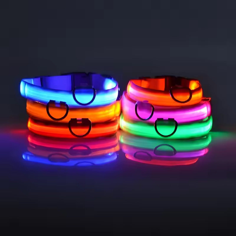 LED-Hundehalsband – Leuchtend, Wiederaufladbar & Sicher für Nachtspaziergänge
