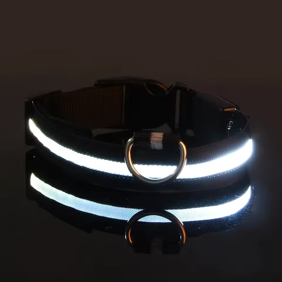 LED-Hundehalsband – Leuchtend, Wiederaufladbar & Sicher für Nachtspaziergänge