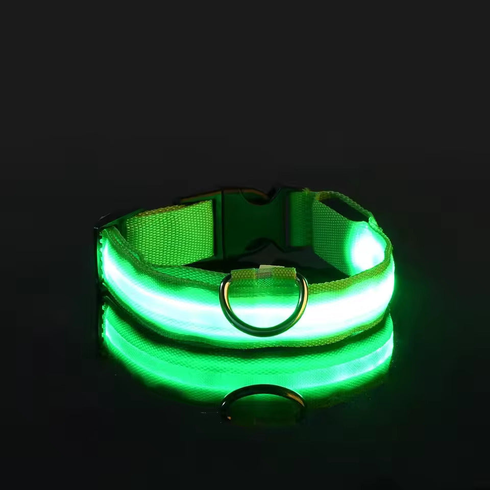 LED-Hundehalsband – Leuchtend, Wiederaufladbar & Sicher für Nachtspaziergänge