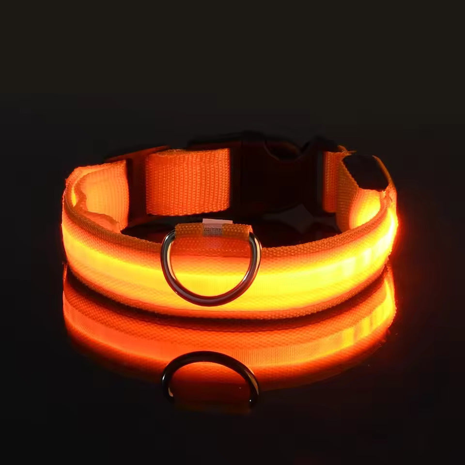 LED-Hundehalsband – Leuchtend, Wiederaufladbar & Sicher für Nachtspaziergänge