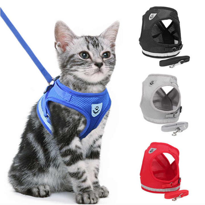 Hunde Katzen Geschirr & Leine Set | Reflektierendes Mesh Sicherheitsgeschirr für Hunde & Katzen | Atmungsaktive und Bequeme Hundegeschirre mit Verstellbarem Gurt