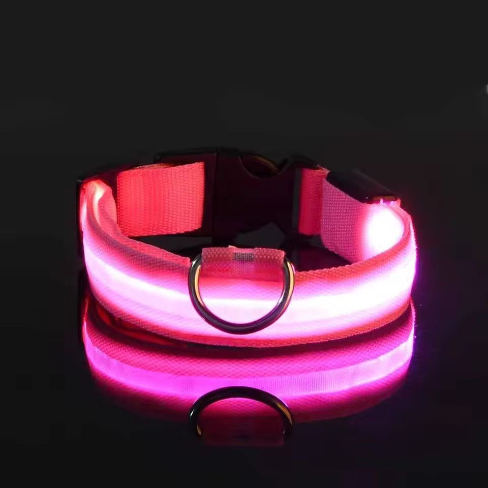 LED-Hundehalsband – Leuchtend, Wiederaufladbar & Sicher für Nachtspaziergänge