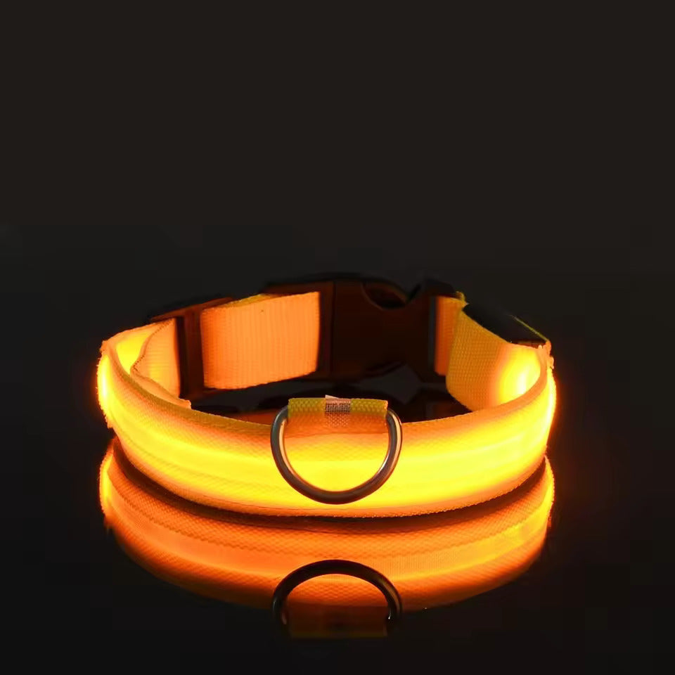 LED-Hundehalsband – Leuchtend, Wiederaufladbar & Sicher für Nachtspaziergänge