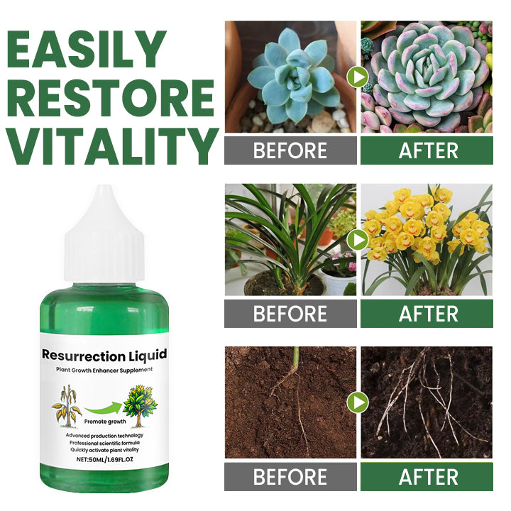 1+2 GRATIS | PlantVitaal™ | Beleben Sie Ihre Pflanzen mit Resurrection Liquid!