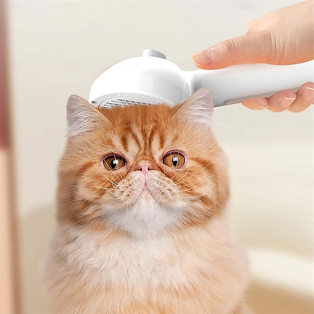 50% Rabatt | PetGlow™ | Die weichste Bürste für strahlenden Spaß & gesunde Fellpflege! [Letzter Tag Rabatt]