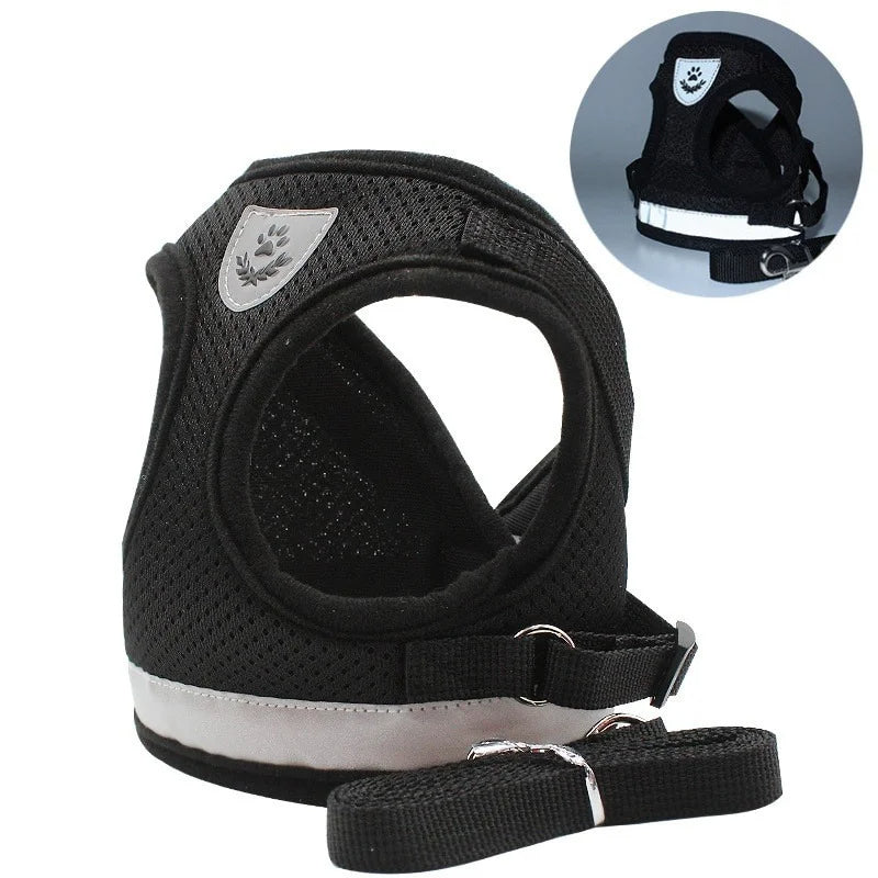 Hunde Katzen Geschirr & Leine Set | Reflektierendes Mesh Sicherheitsgeschirr für Hunde & Katzen | Atmungsaktive und Bequeme Hundegeschirre mit Verstellbarem Gurt