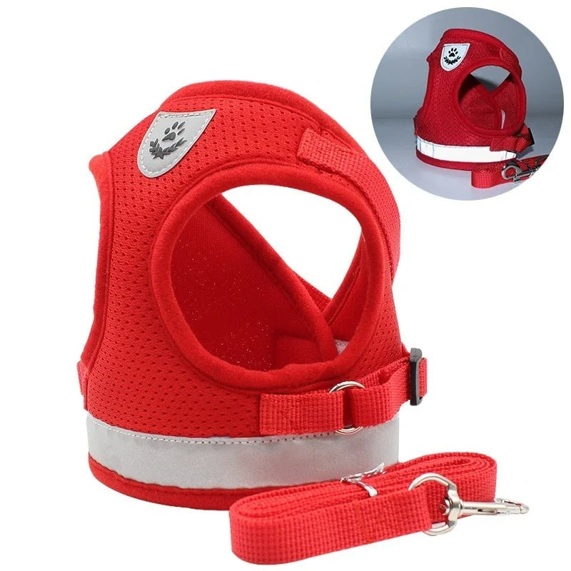 Hunde Katzen Geschirr & Leine Set | Reflektierendes Mesh Sicherheitsgeschirr für Hunde & Katzen | Atmungsaktive und Bequeme Hundegeschirre mit Verstellbarem Gurt