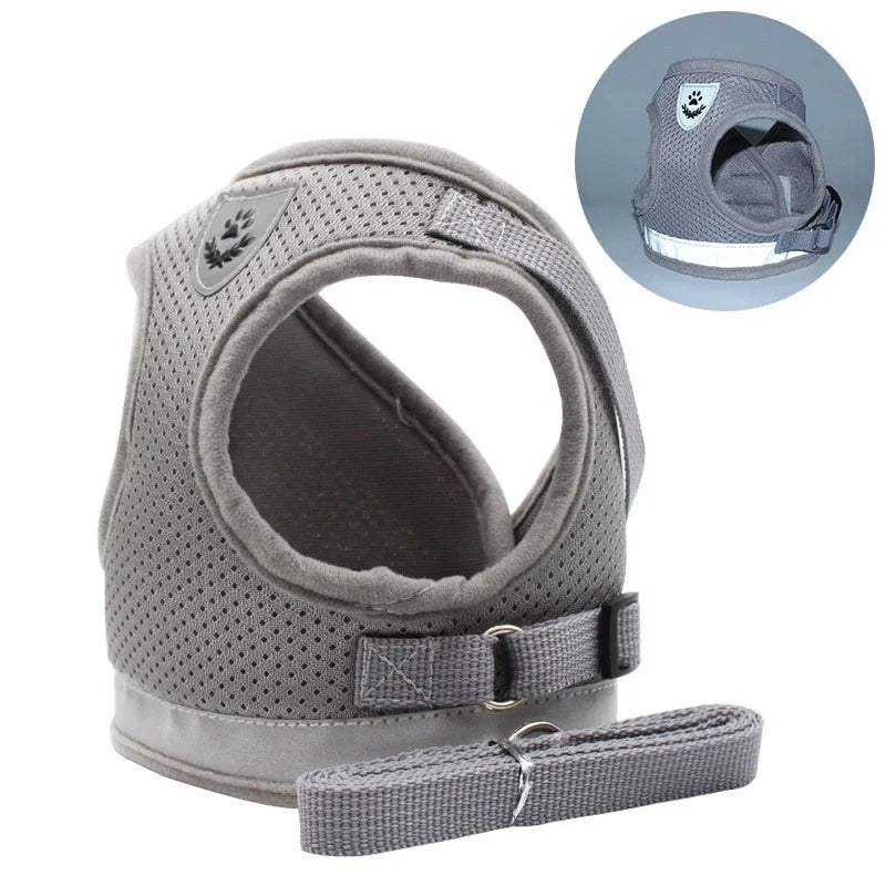 Hunde Katzen Geschirr & Leine Set | Reflektierendes Mesh Sicherheitsgeschirr für Hunde & Katzen | Atmungsaktive und Bequeme Hundegeschirre mit Verstellbarem Gurt