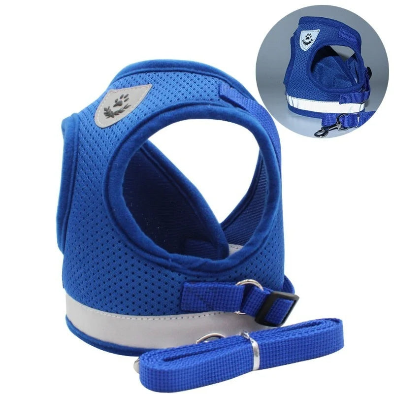 Hunde Katzen Geschirr & Leine Set | Reflektierendes Mesh Sicherheitsgeschirr für Hunde & Katzen | Atmungsaktive und Bequeme Hundegeschirre mit Verstellbarem Gurt