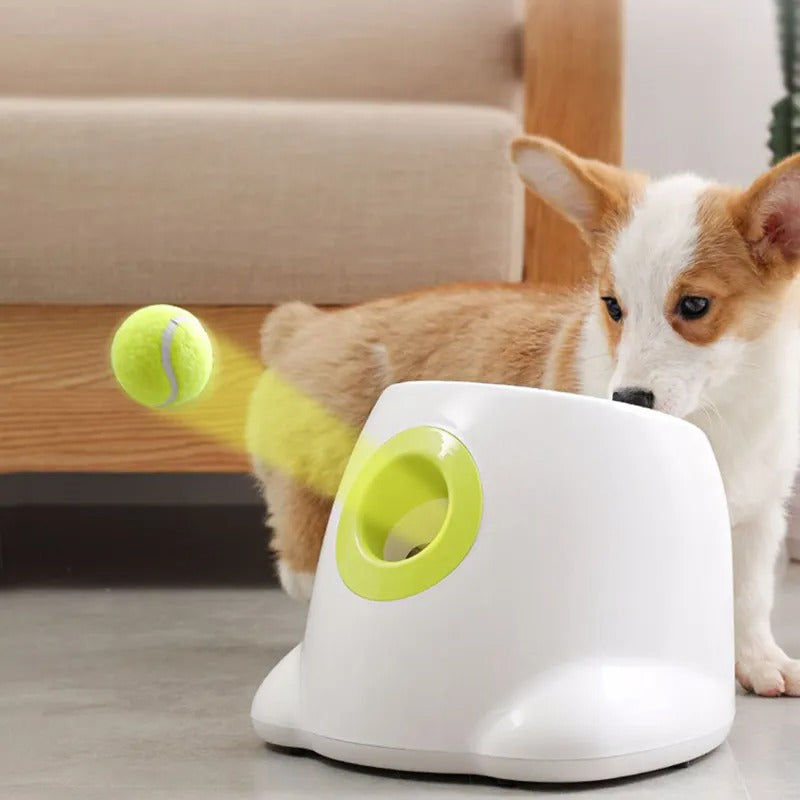 Intelligente Hunde Ballwurfmaschine | Einstellbare Entfernungen für Endlosen Spielspaß