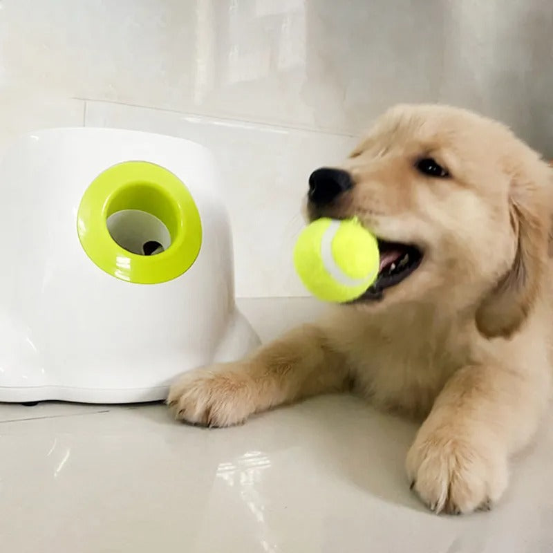 Intelligente Hunde Ballwurfmaschine | Einstellbare Entfernungen für Endlosen Spielspaß