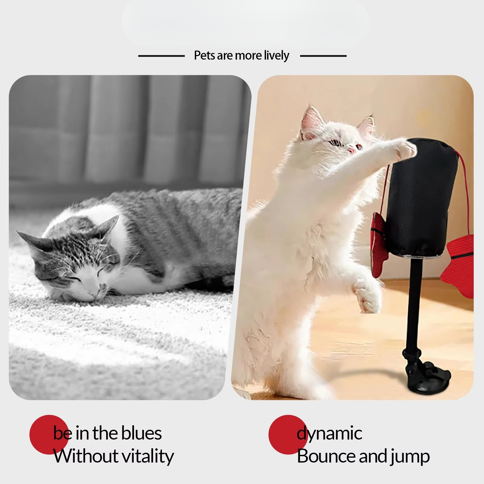 50% RABATT | PounceBag™ | Interaktiver Katzen-Boxsack für Spiel & Spaß