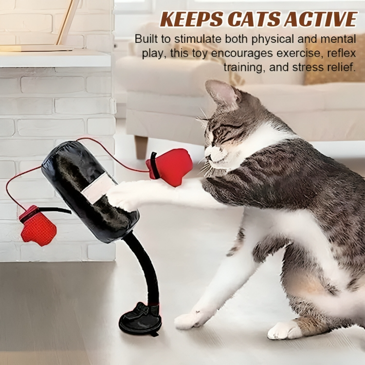 50% RABATT | PounceBag™ | Interaktiver Katzen-Boxsack für Spiel & Spaß