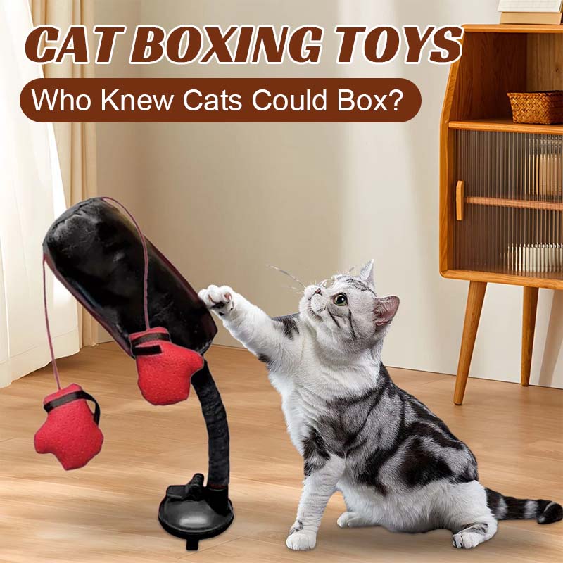 50% RABATT | PounceBag™ | Interaktiver Katzen-Boxsack für Spiel & Spaß