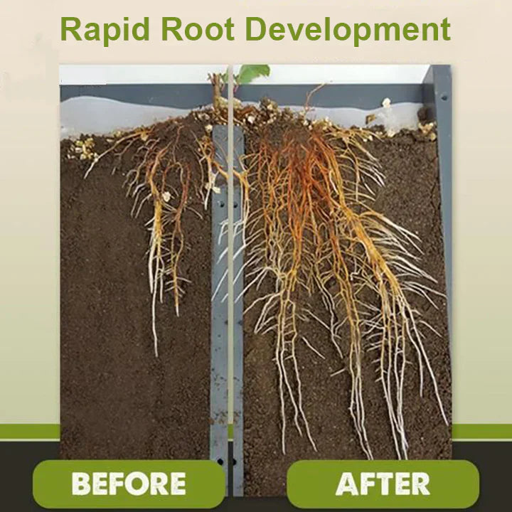 2+1 GRATIS | RootRise™ | Schnellere Pflanzenregeneration