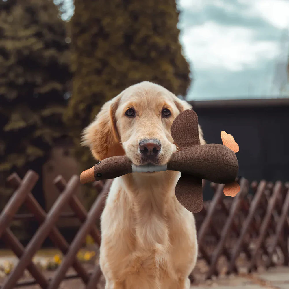 Plüsch Wildgans Hundespielzeug – Kauspielzeug für aggressive Hunde mit Quietsche für kleine und mittlere Hunde | Fördert gesunde Zähne & Spaß