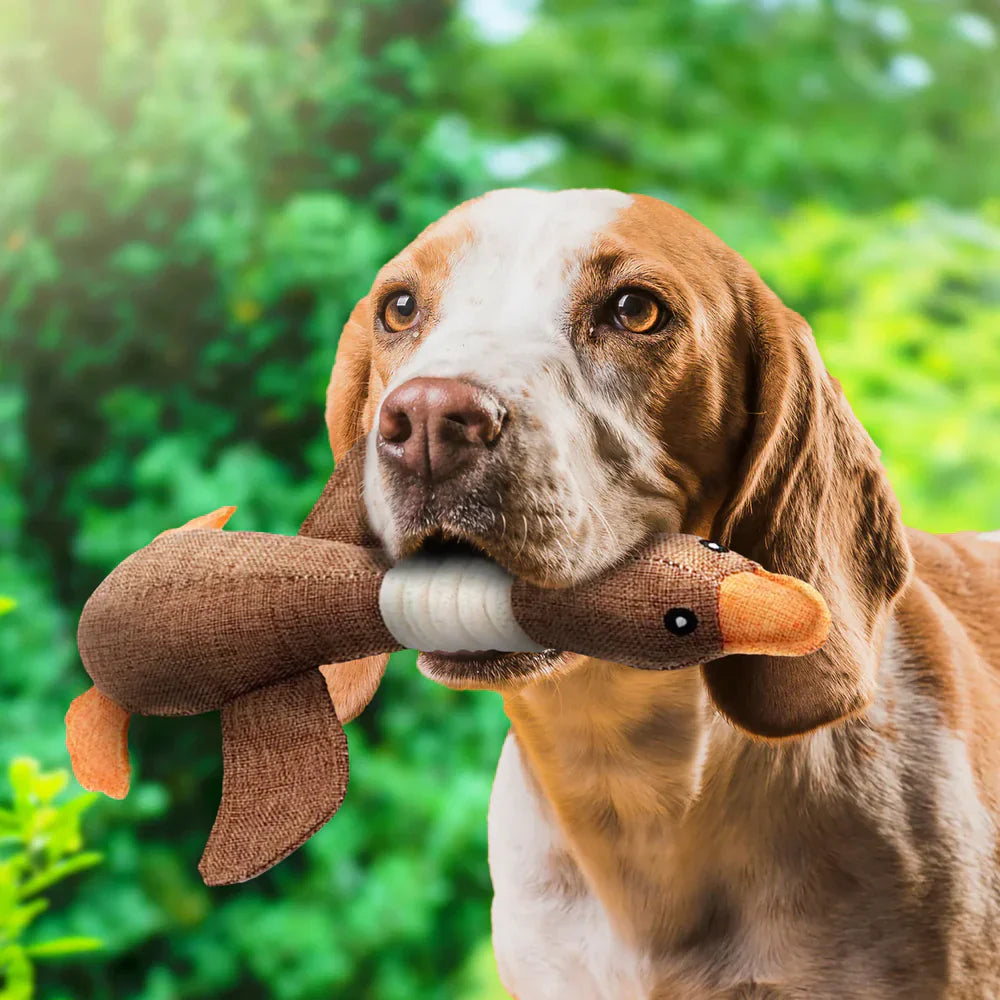 Plüsch Wildgans Hundespielzeug – Kauspielzeug für aggressive Hunde mit Quietsche für kleine und mittlere Hunde | Fördert gesunde Zähne & Spaß