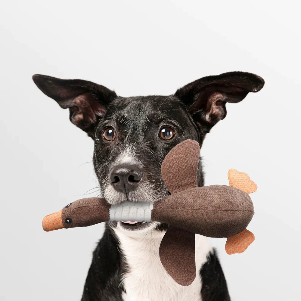 Plüsch Wildgans Hundespielzeug – Kauspielzeug für aggressive Hunde mit Quietsche für kleine und mittlere Hunde | Fördert gesunde Zähne & Spaß