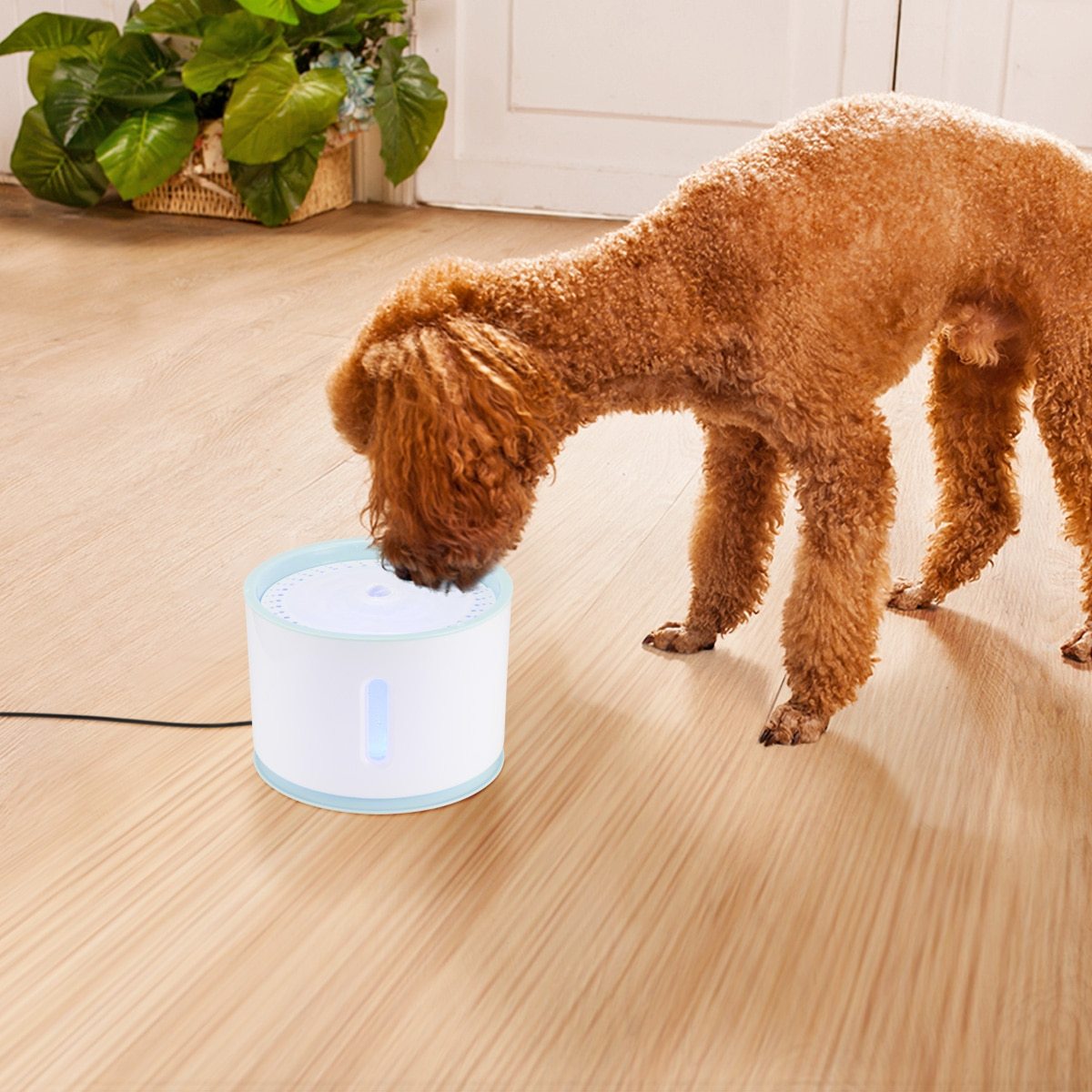 2,4L Automatische Haustier Trinkbrunnen mit LED | USB Wasserbrunnen für Katzen und Hunde