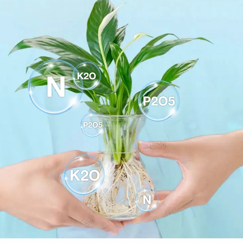 1+2 GRATIS | HydroGrow™ | Hydroponische Nährlösung