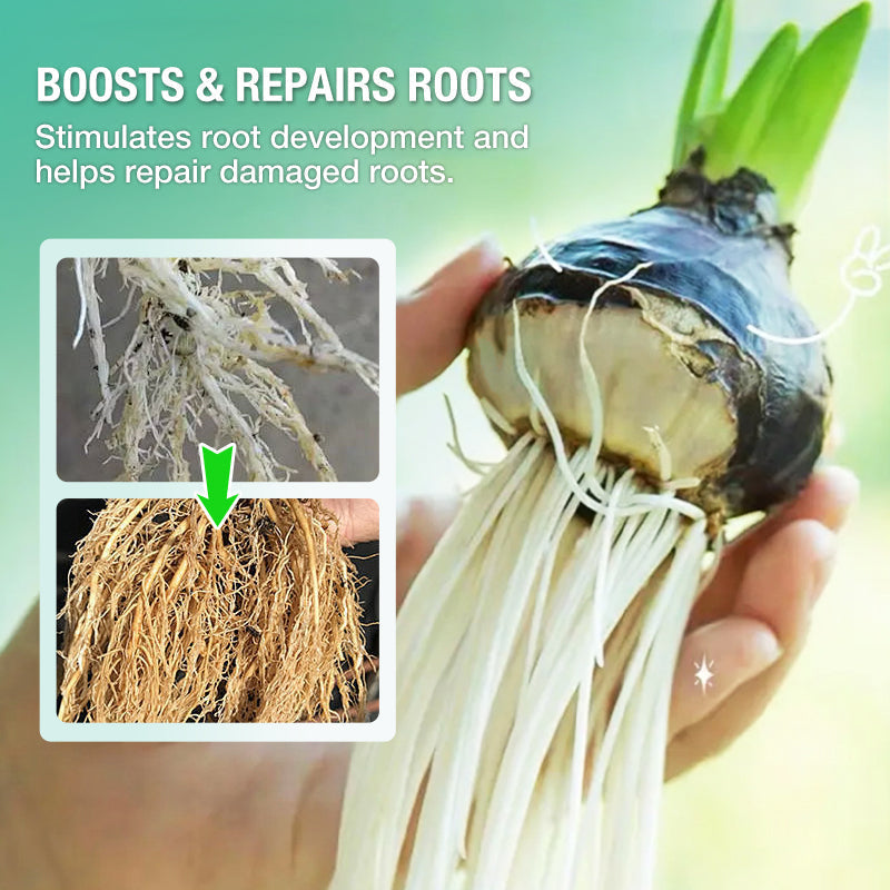 1+2 GRATIS | HydroGrow™ | Hydroponische Nährlösung