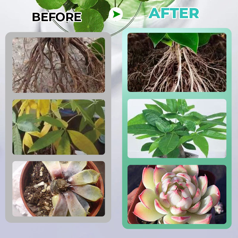 1+2 GRATIS | HydroGrow™ | Hydroponische Nährlösung